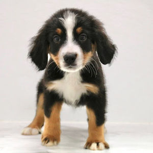 Meet your Posher, Cathy